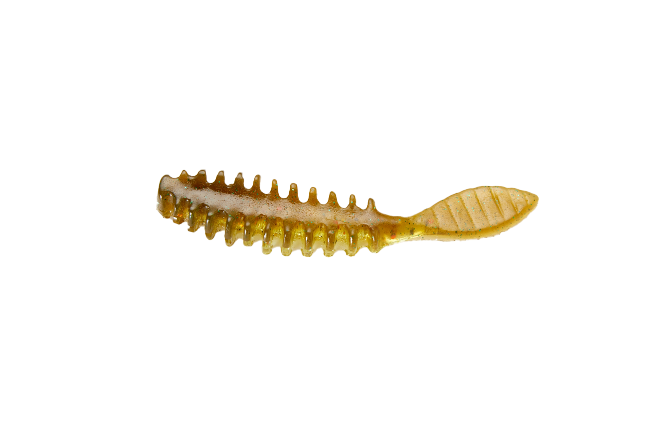POOR BOYS BAITS Erie Darter Jr Bait 10 PK